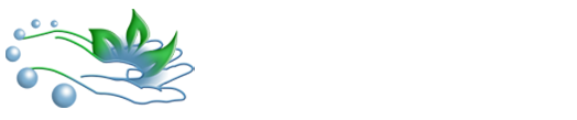 Studio Lizbet